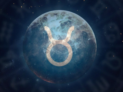 Венера в тільці