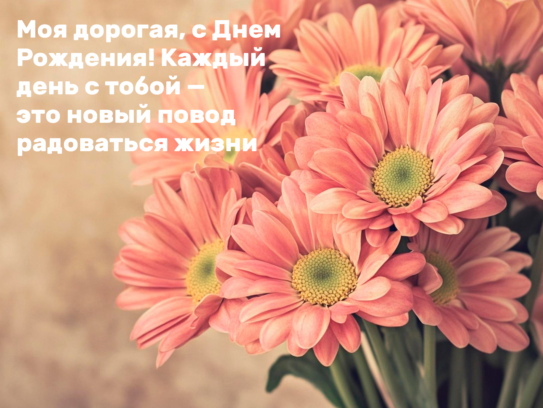 с днем рождения жене