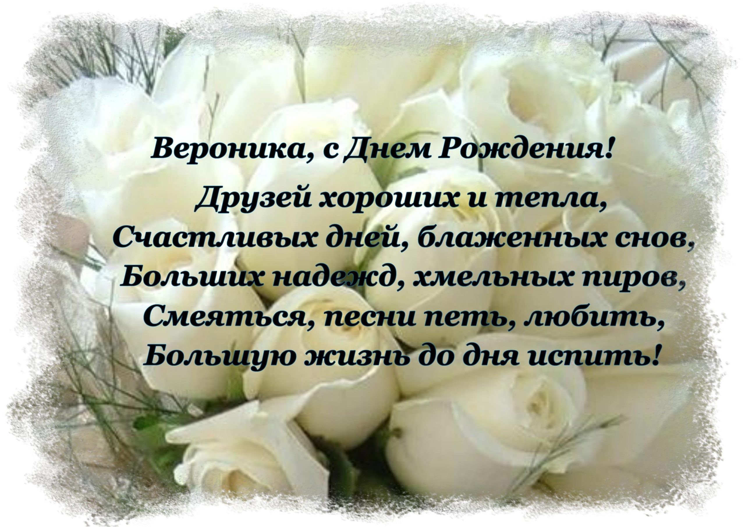 Своими словами поздравления с днем рождения Вероника