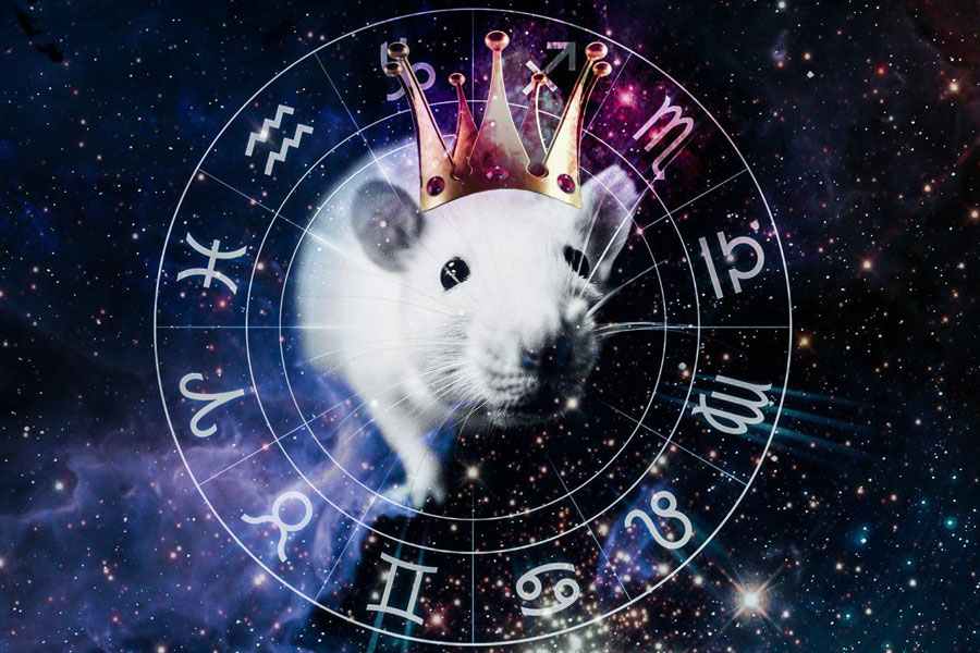 1960 год кого