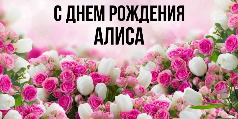 день рождения Алиса поздравления прикольные