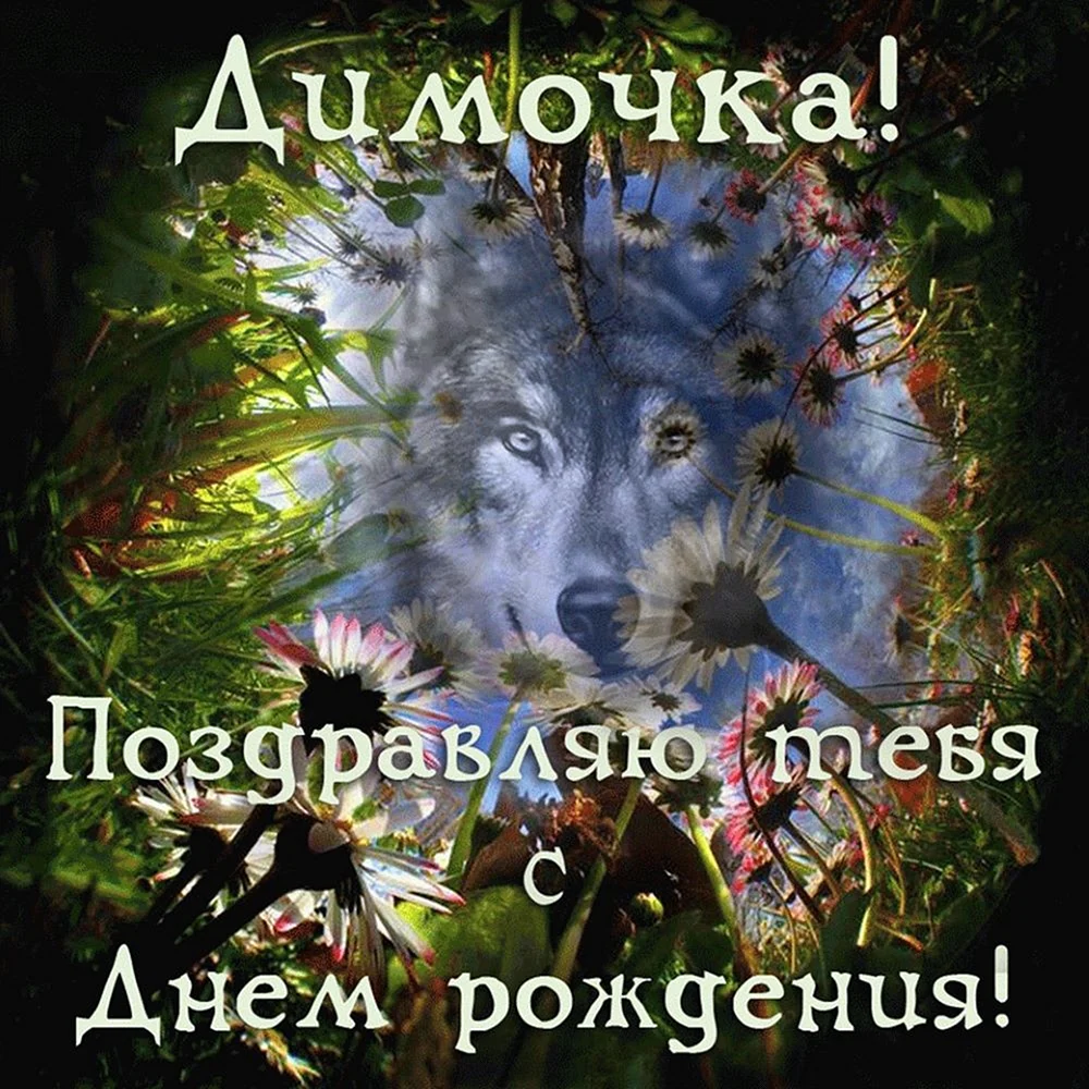 Смешные поздравления поздравления с днем рождения Дмитрий