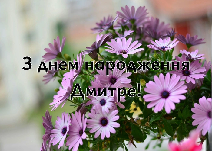 день народження Дмитро привітання прикольні