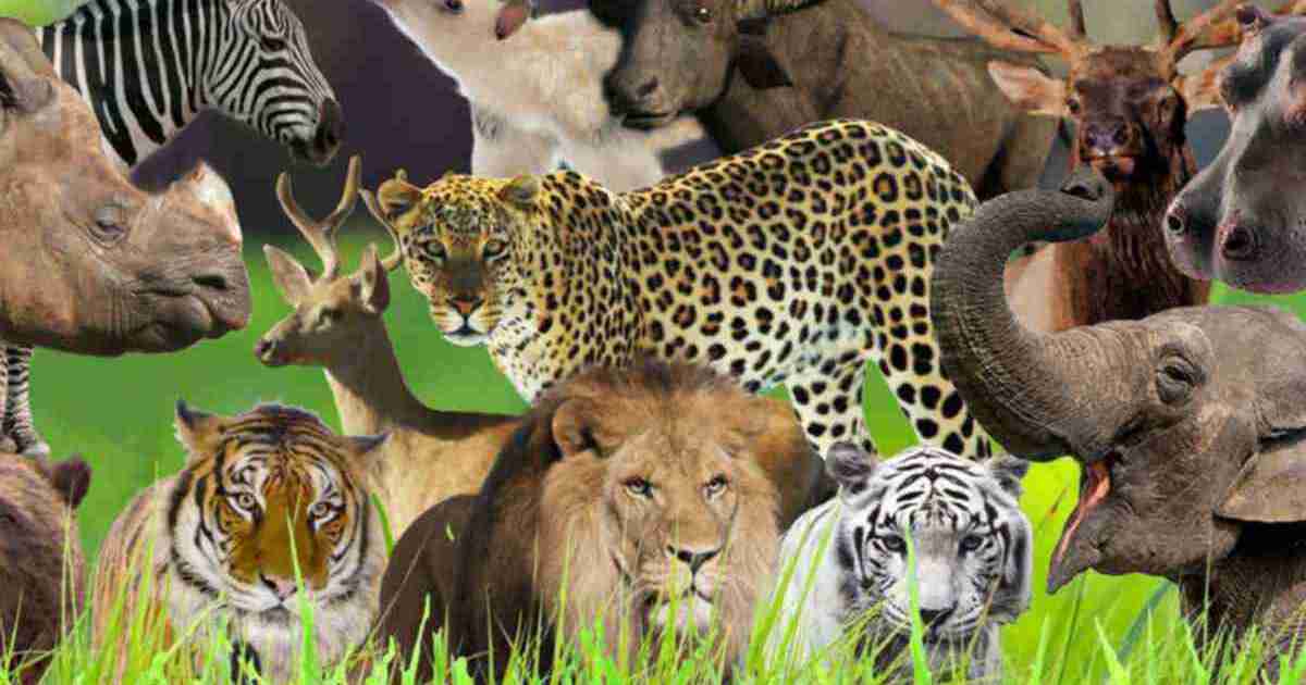 Почему зверей называют млекопитающими