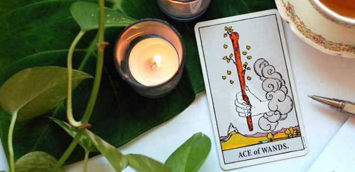 туз жезлов таро