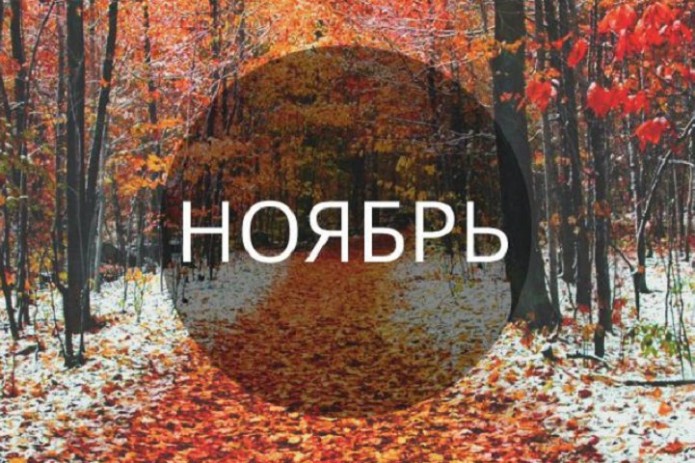 праздники в ноябре