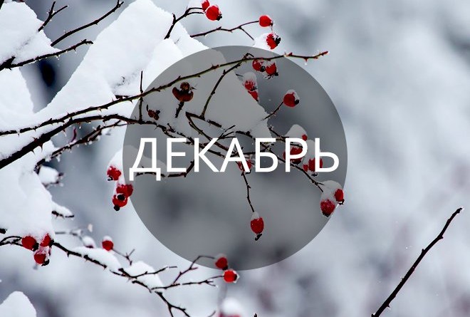 праздники в декабре