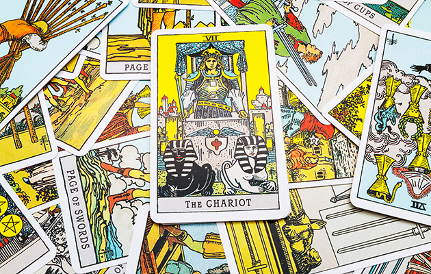 колесница карта дня